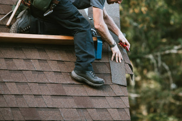 Roof Gutter Cleaning in Wylie, TX
